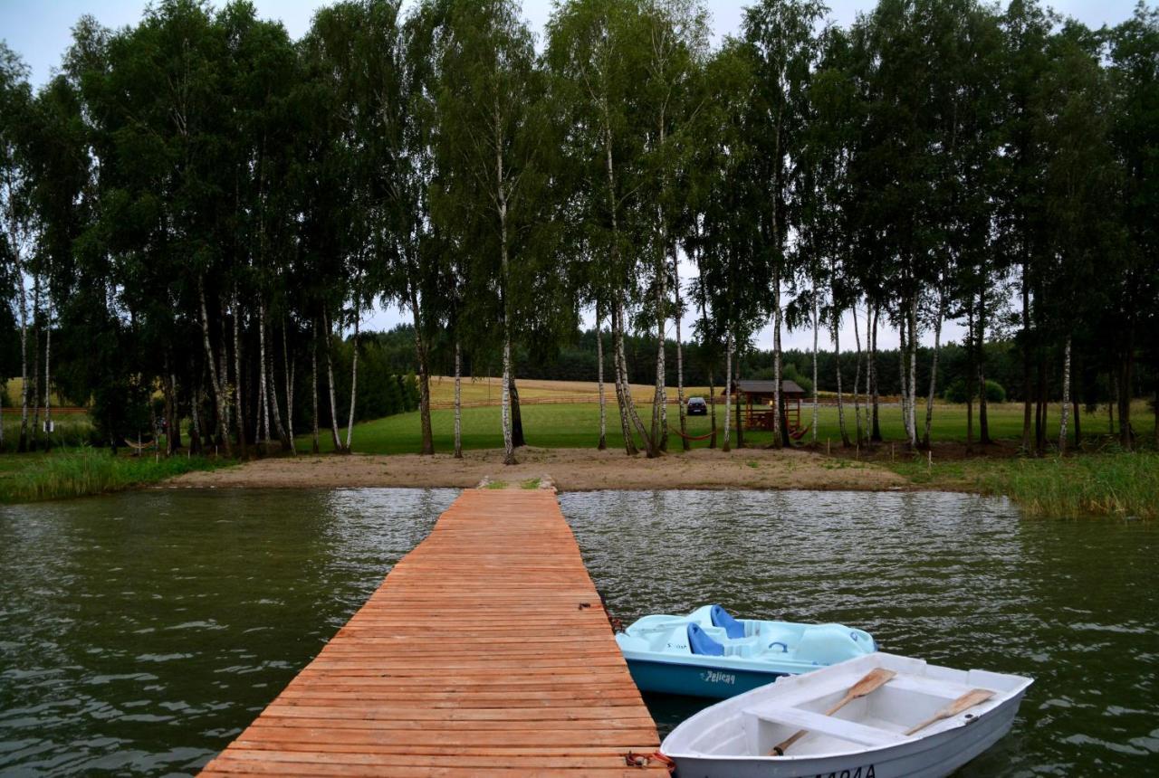 Siedlik Agroturystyka - Spokojne Miejsce Dla Ciebie I Twojej Rodziny Lidzbark Welski エクステリア 写真